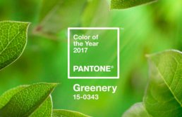 greenery-color-pantone-del-año-2017