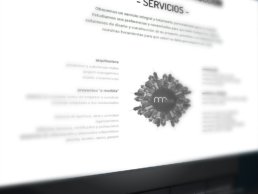 Detalle de los servicios mrdos - Creative Studio Web