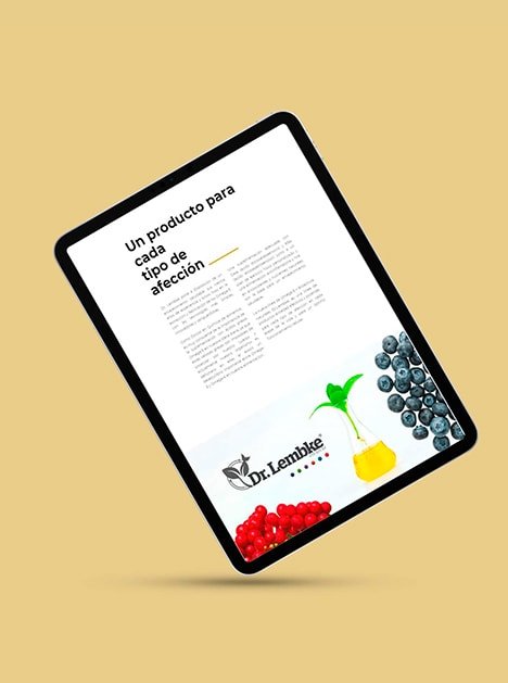 Dr Lembke- Creative Studio, diseño, web y publicidad en Toledo