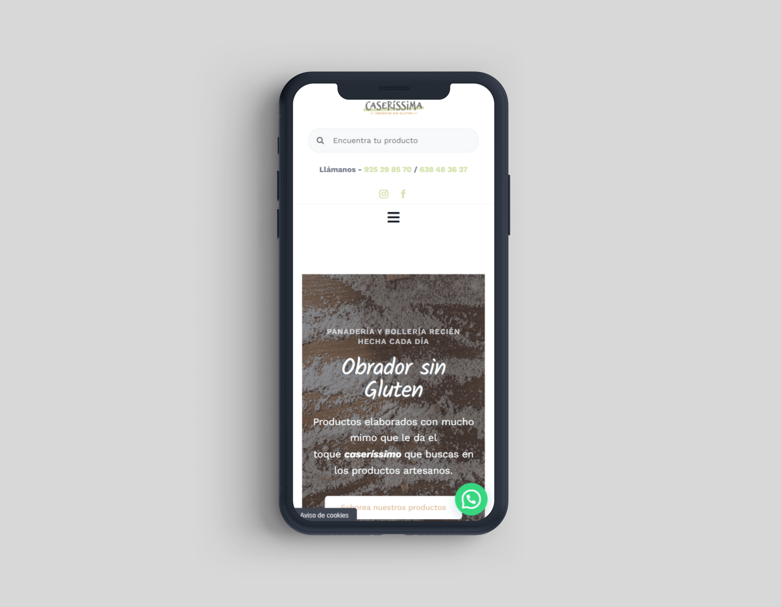 Responsive Caseríssima, obrador sin gluten - Creative Studio, diseño, web y publicidad en Toledo